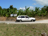 Lloyds Rally - Trelawny- March 9 2008