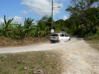 Lloyds Rally - Trelawny- March 9 2008