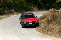 Lloyds Rally - Trelawny- March 9 2008