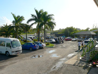 Lloyds Rally - Trelawny- March 9 2008